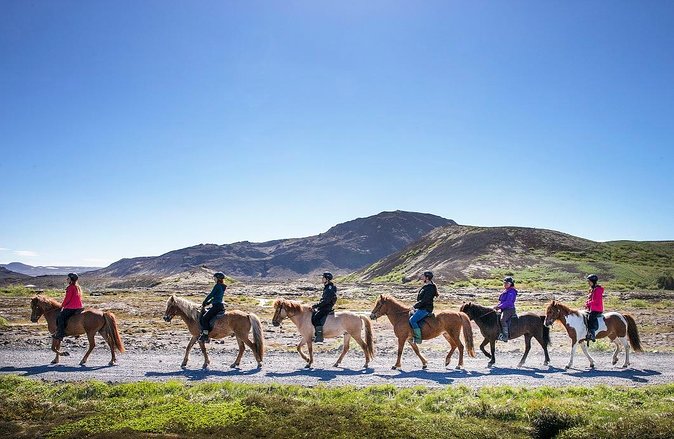 Icelandic Horseback Riding