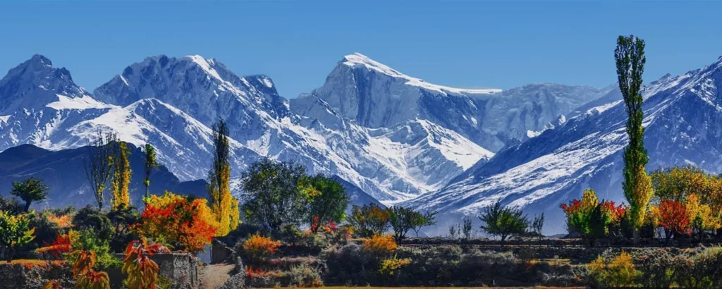 a snowy mountain range with trees and bushes in The Jannah Of Pakistan