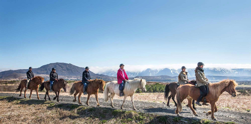 An Unforgettable Icelandic Horseback Riding Adventure: Exploring Iceland’s Beauty in 2024