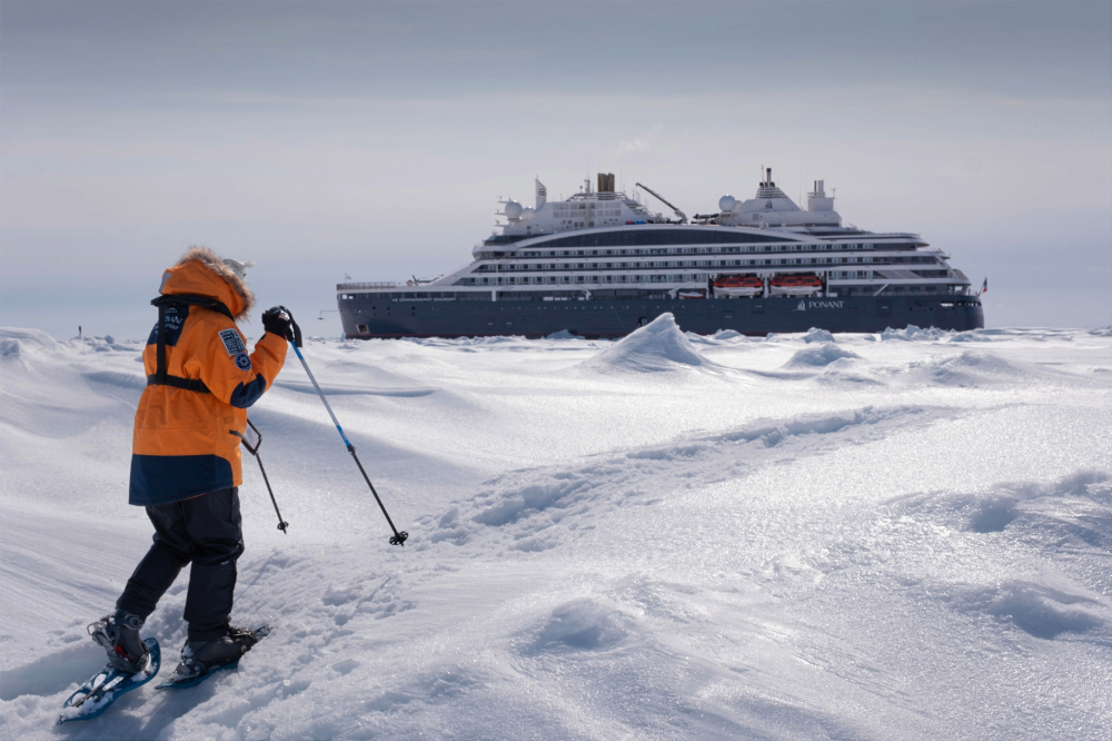 On Expedition Cruises in Antarctica