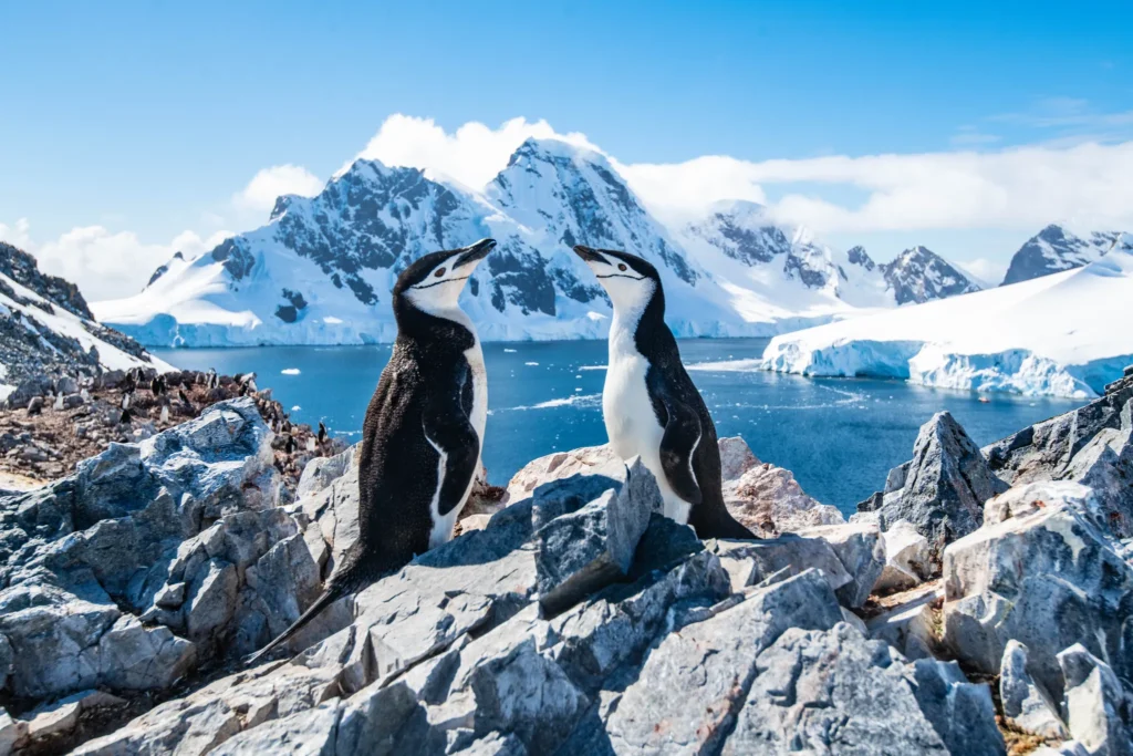 Ross Sea Region A Wilderness in Remote Alaska in Antarctica