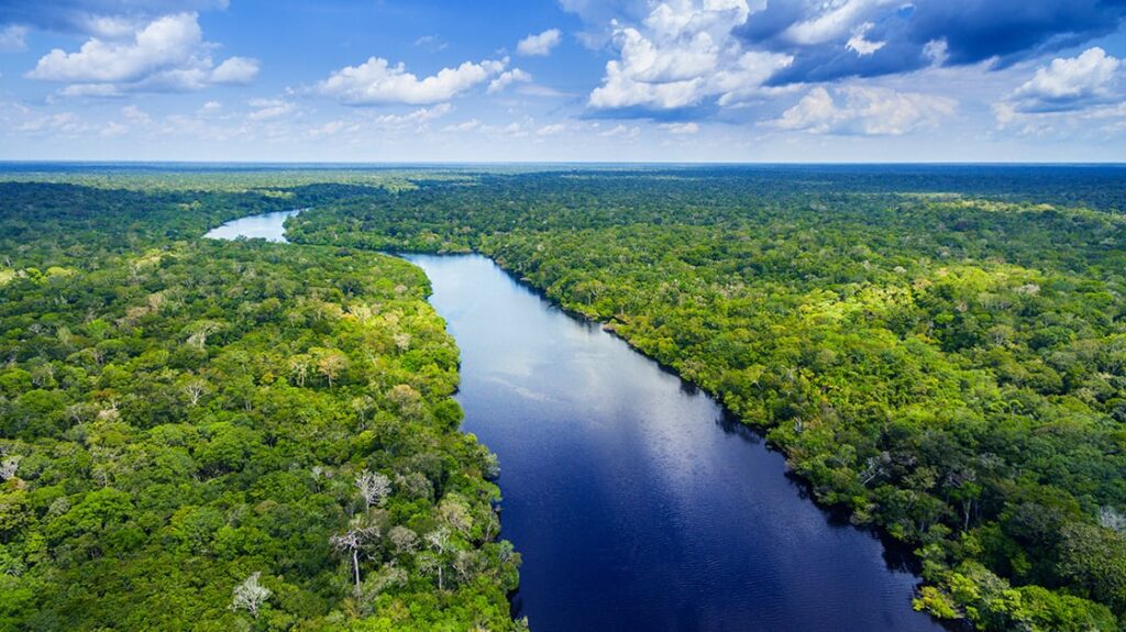 Exploration Of The Amazon Rainforest A Brief History