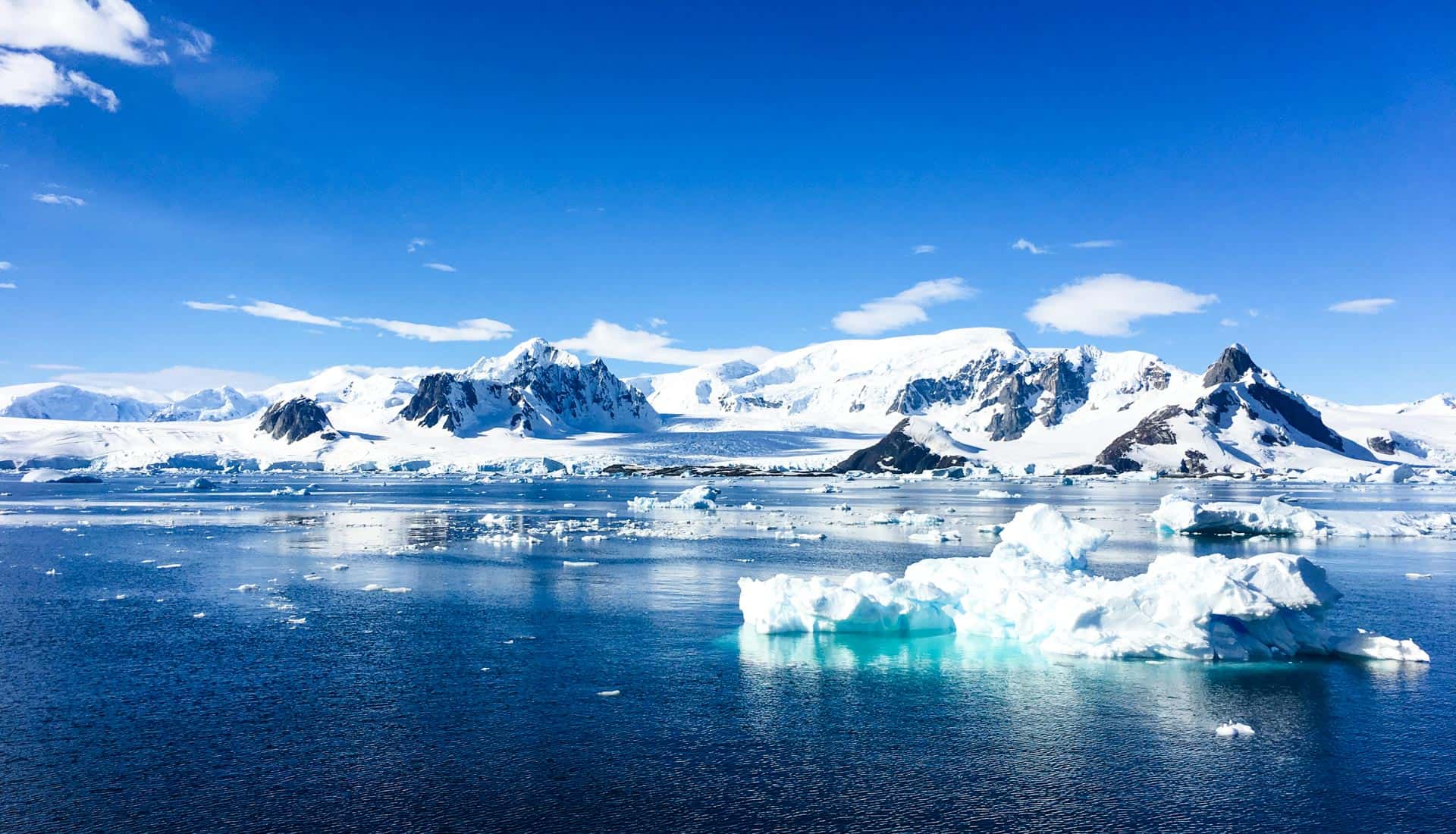 Ultimate Guide to Antarctica Tours: Best Places to Visit, Wildlife, Food & Travel Tips in 20s